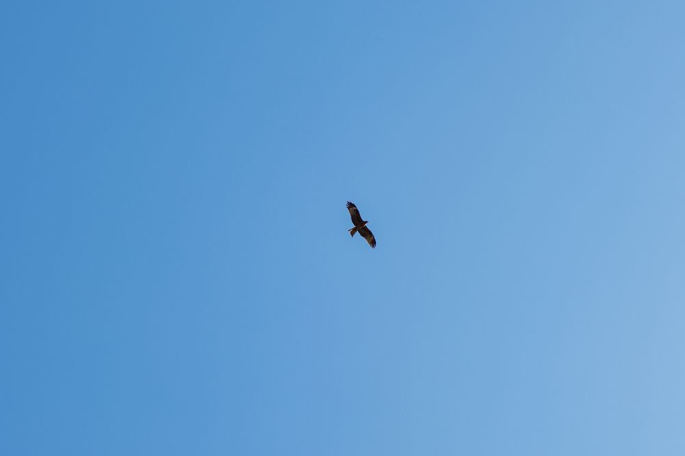 Photograph by Екатерина Рыжкова