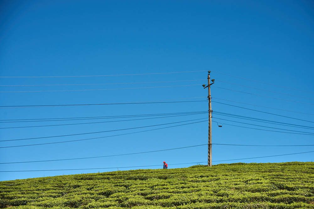 Photograph by Nam Tran Duy