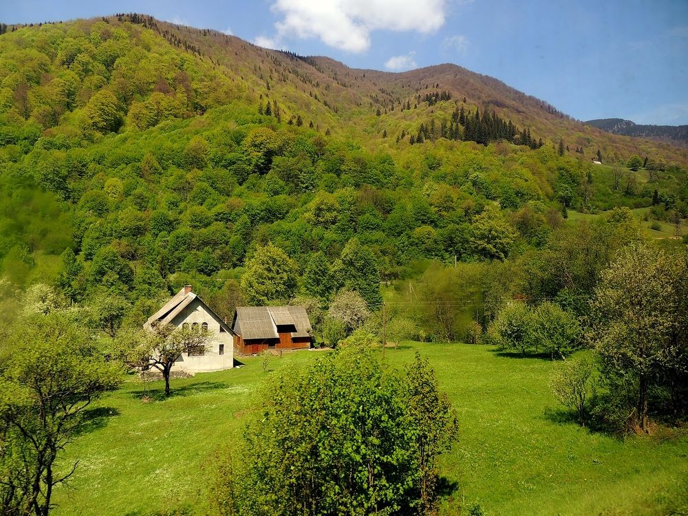 Фотография автора Роман Савоцкий