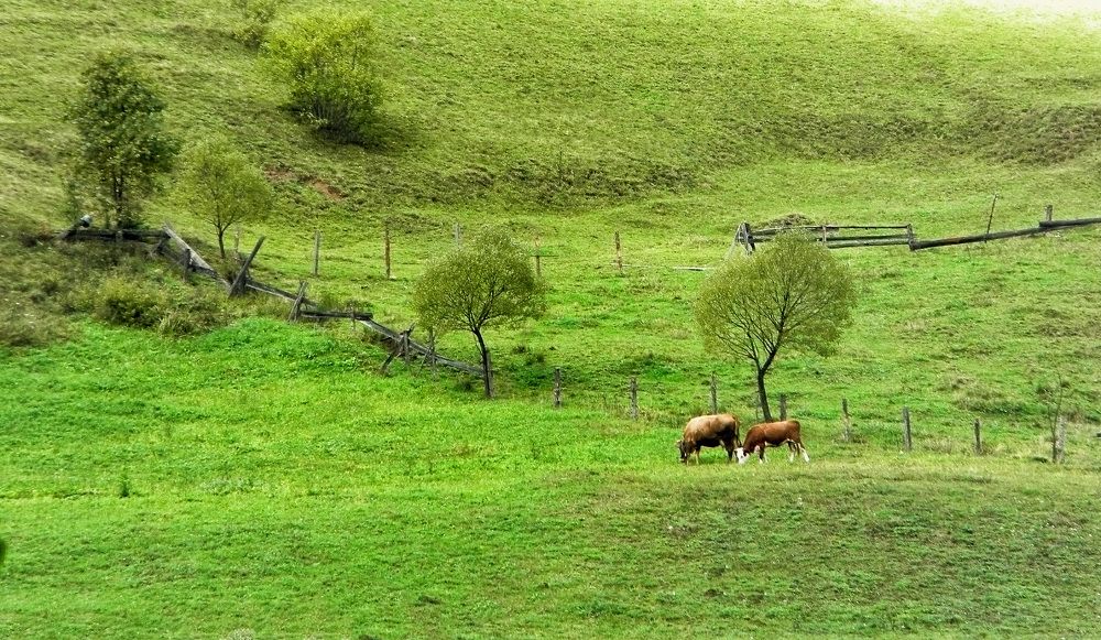 Photograph by Савоцкий Роман