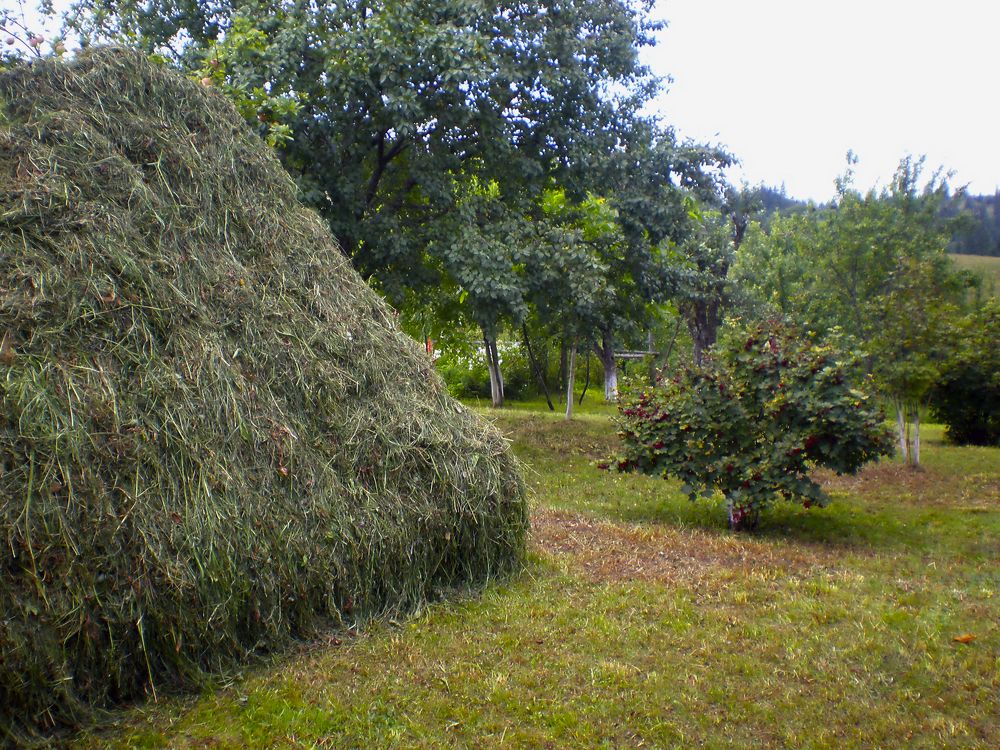 Photograph by Савоцкий Роман