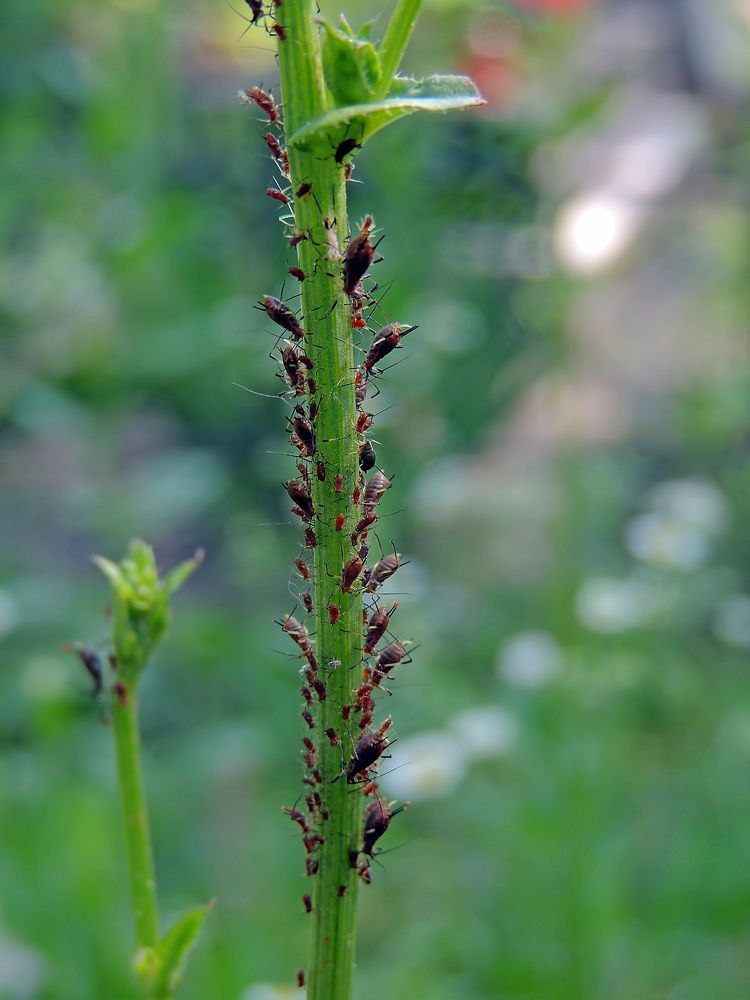 Photograph by Савоцкий Роман