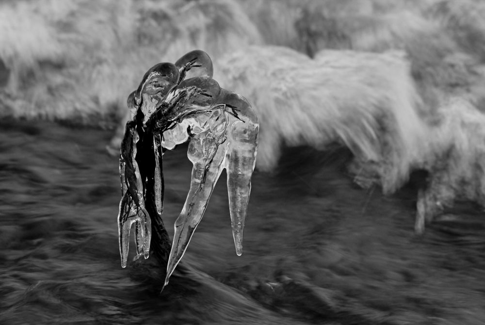 Photograph by Александр Велигура