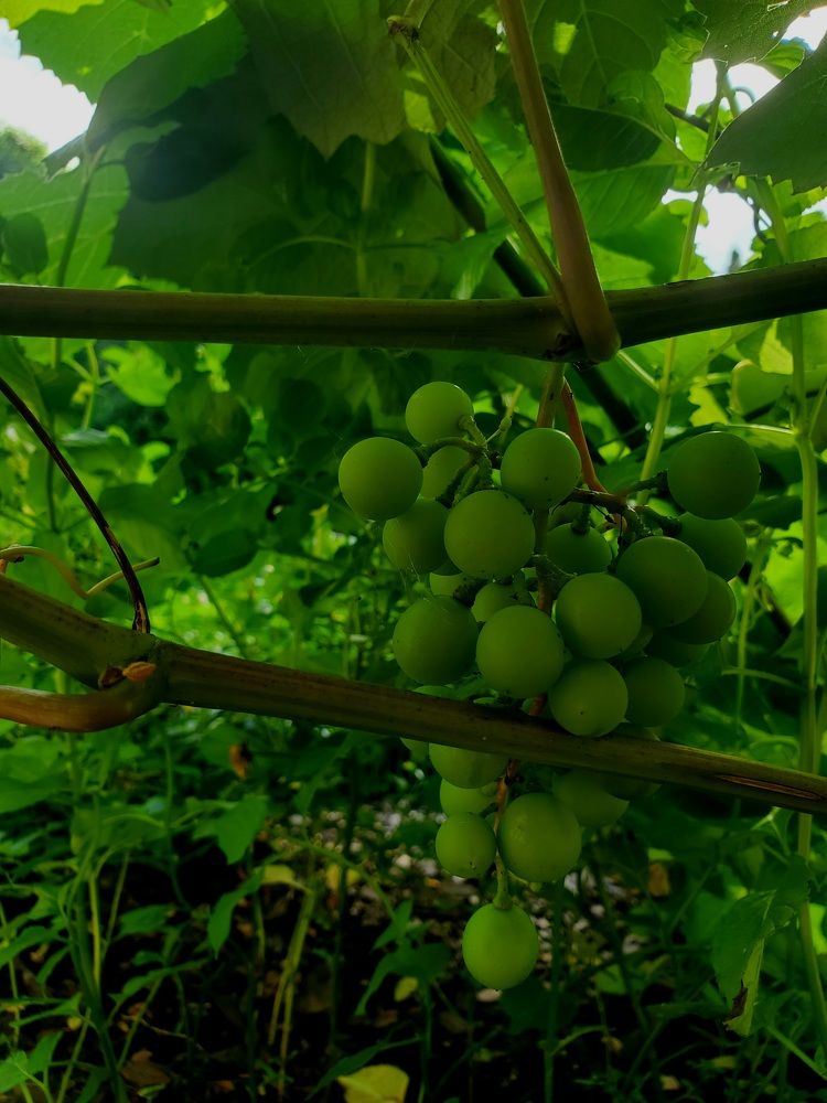 Photograph by Татьяна Пирс