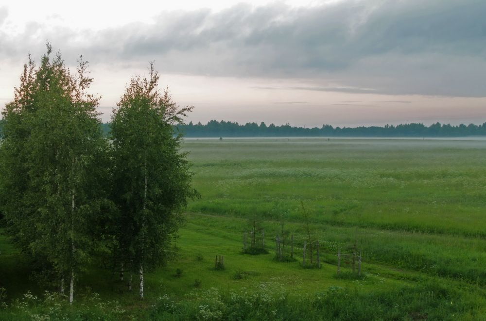 Photograph by Алла Бойко