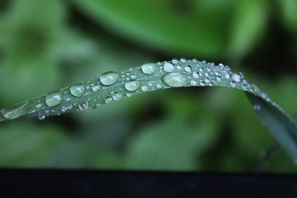 Photograph by Алла Бойко