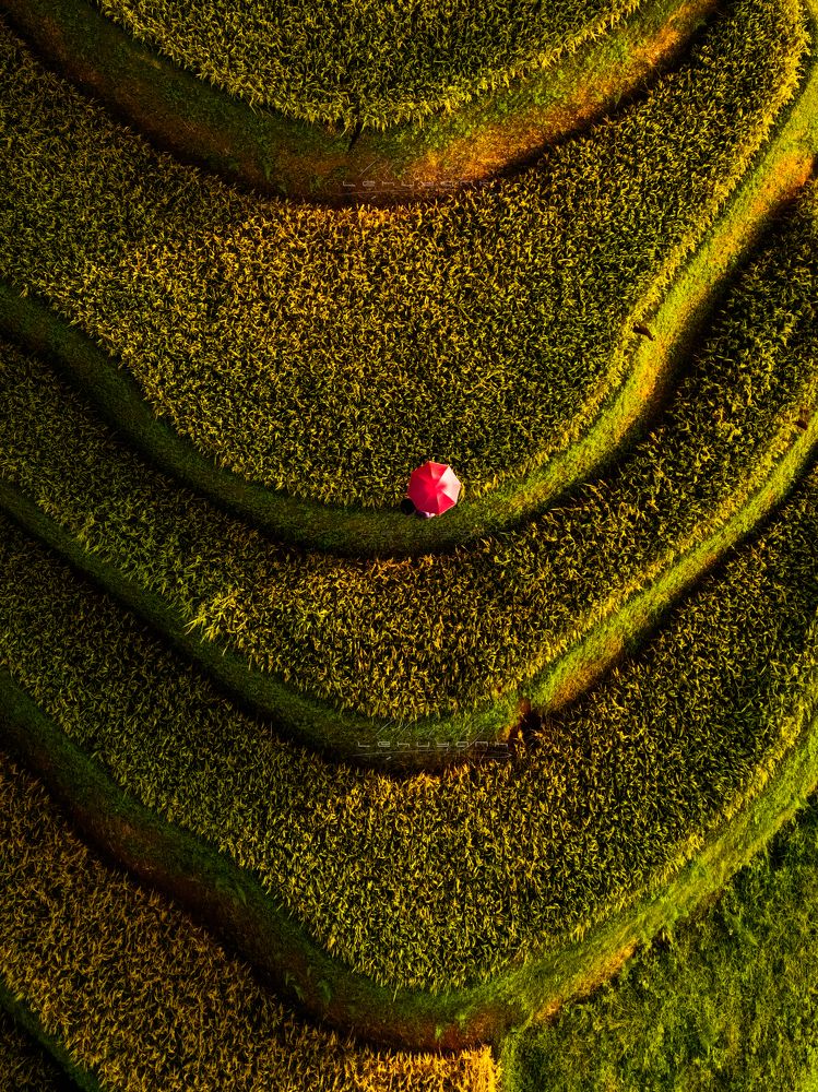 Photograph by Lê Huy Anh