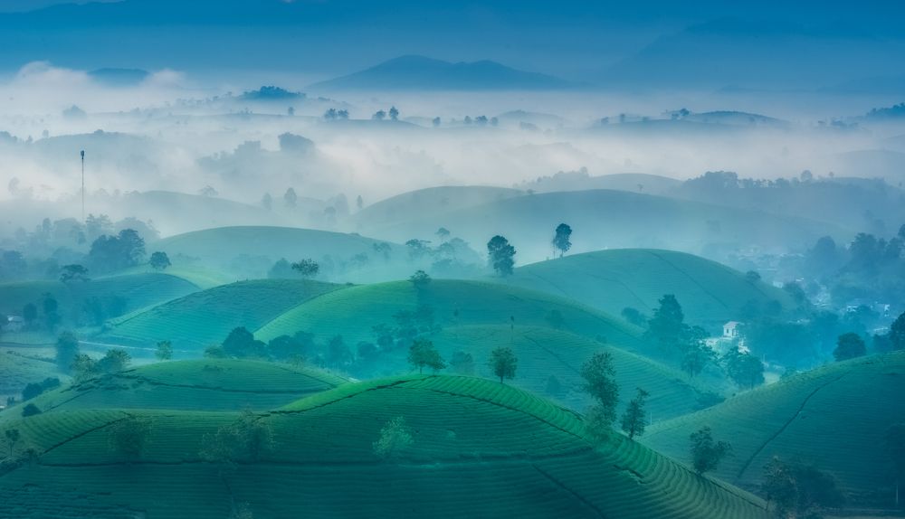 Photograph by Lê Huy Anh