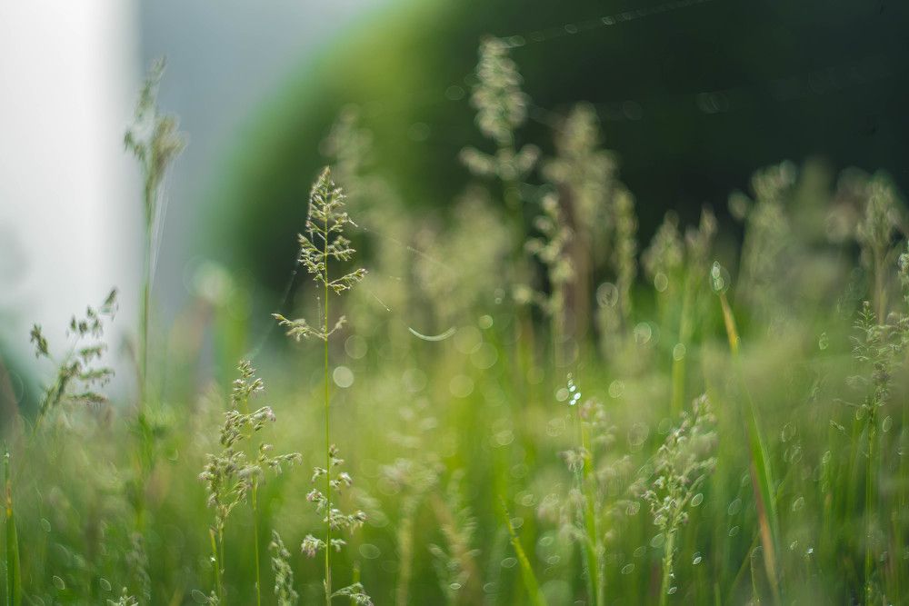 Photograph by Наталья Лещинская