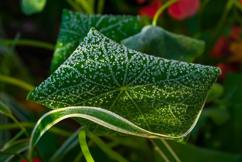 Photograph by Любовь Бусова