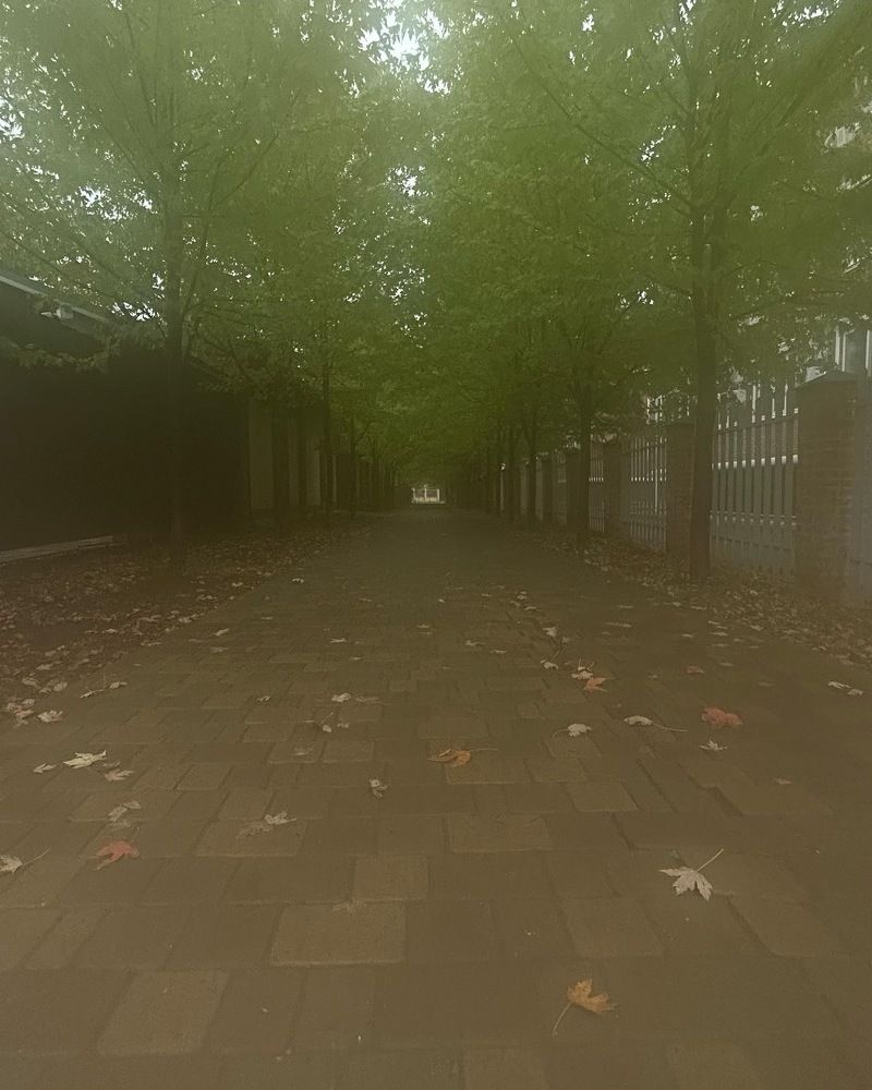 Photograph by Виктория Максименко