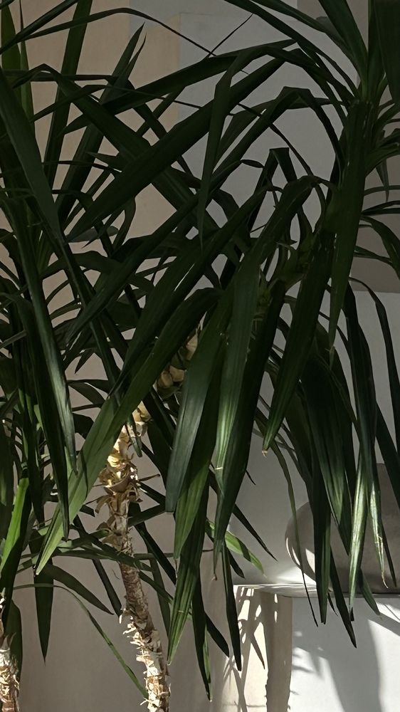 Photograph by Виктория Максименко