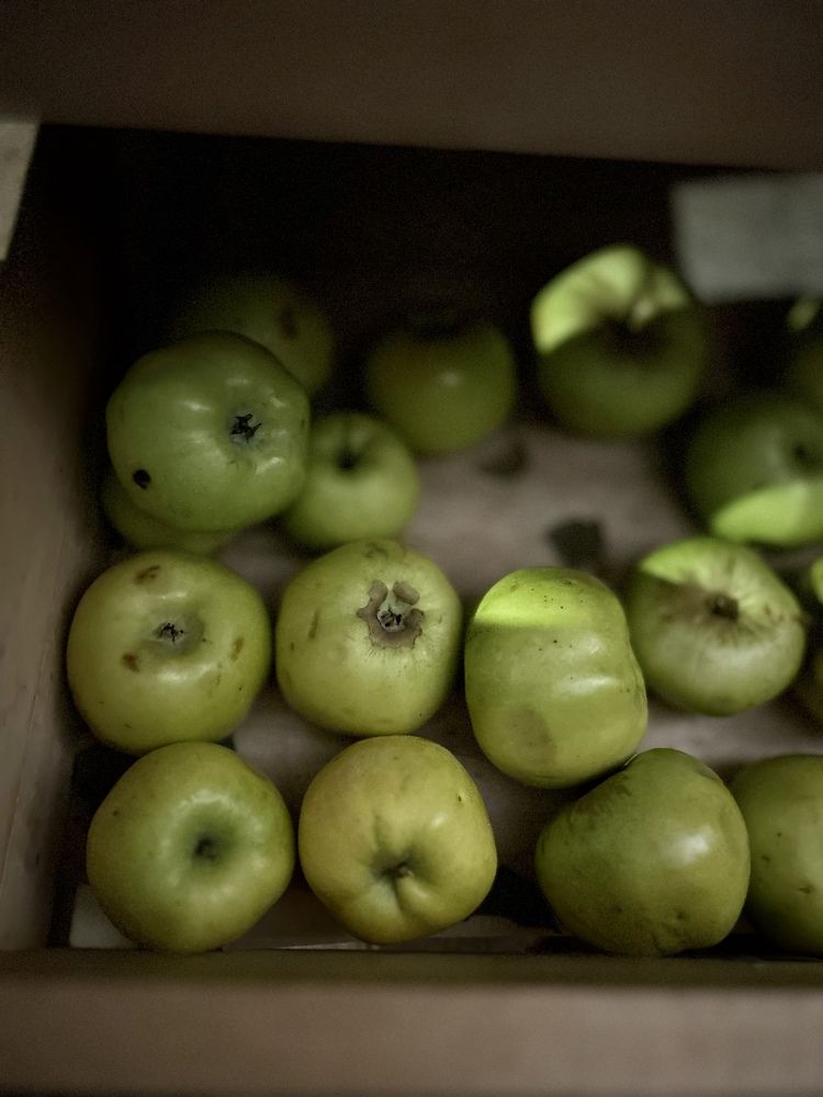 Photograph by Виктория Максименко