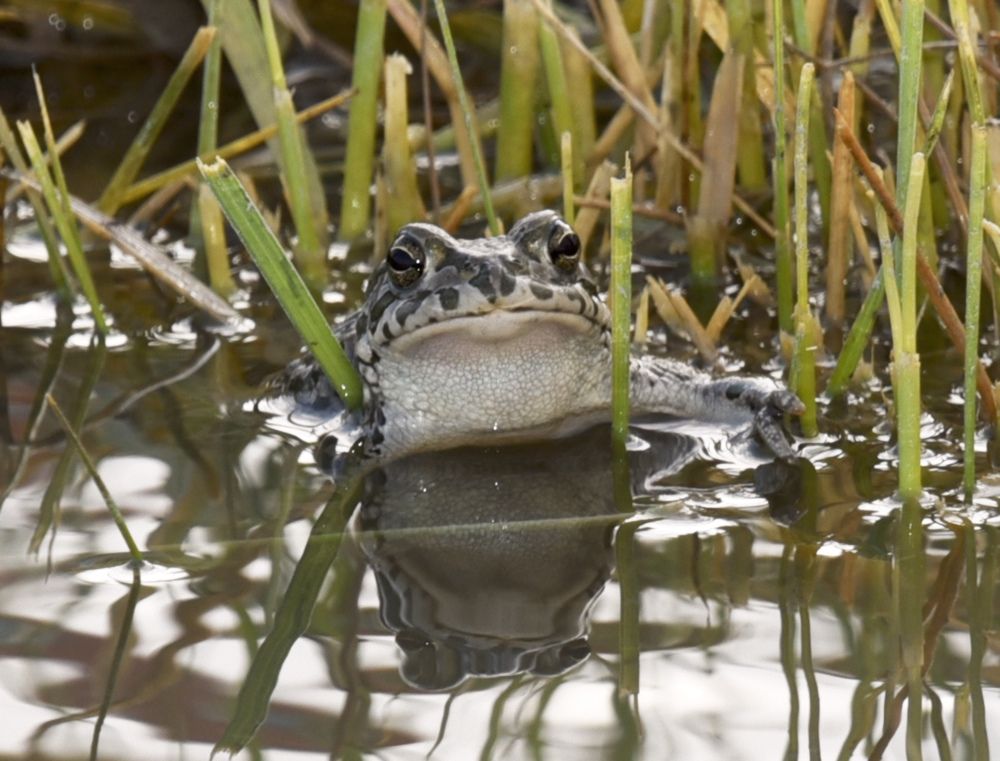Фотография автора Мария