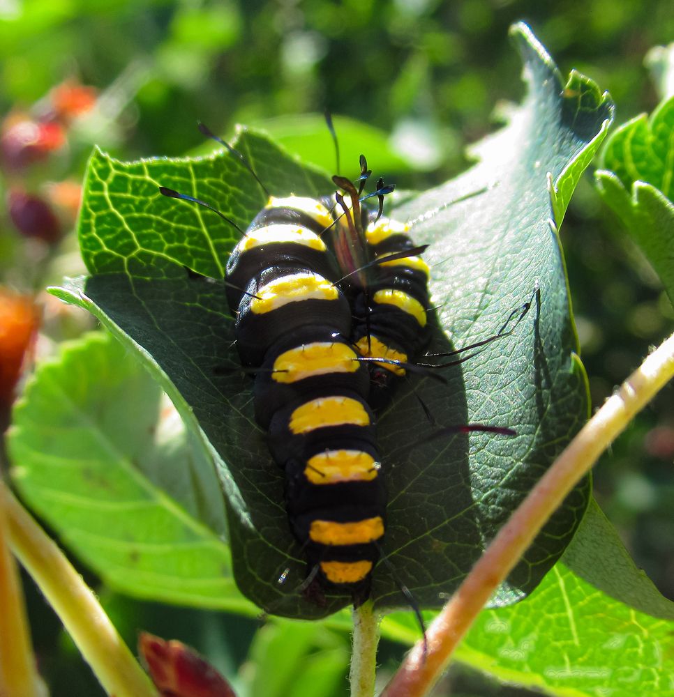 Photograph by Любовь Бусова