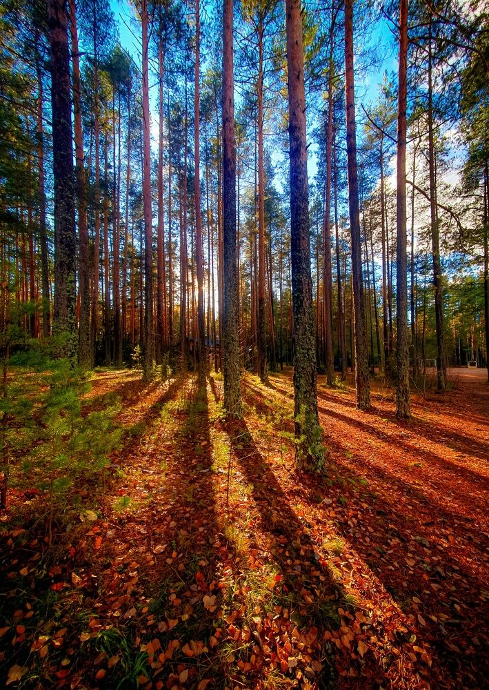 Photograph by Константин Леонюк