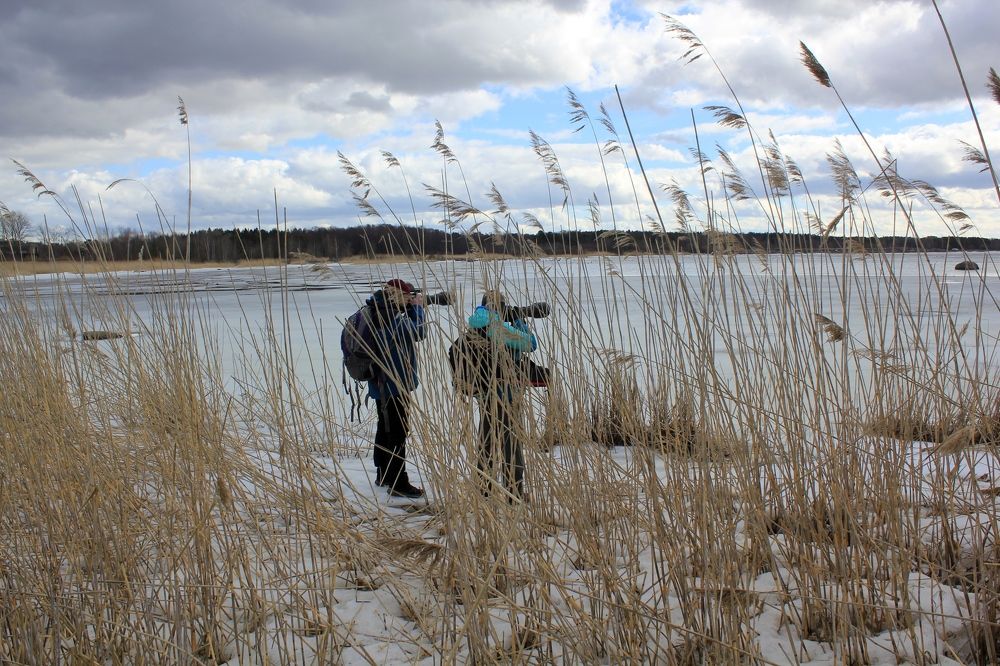 Photograph by Olga Bagaeva