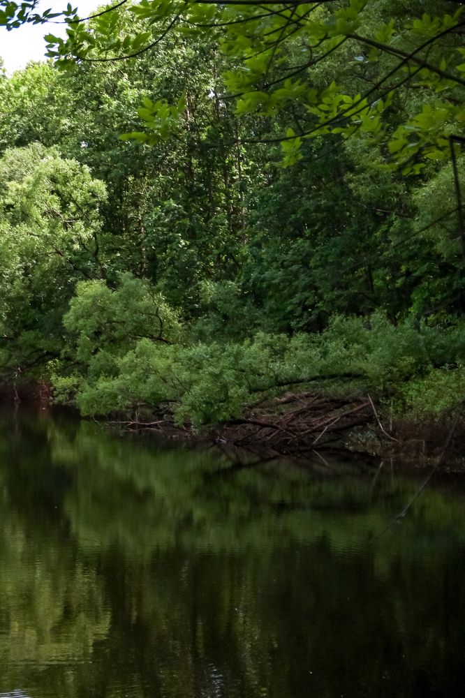 Photograph by Оксана Хабарова