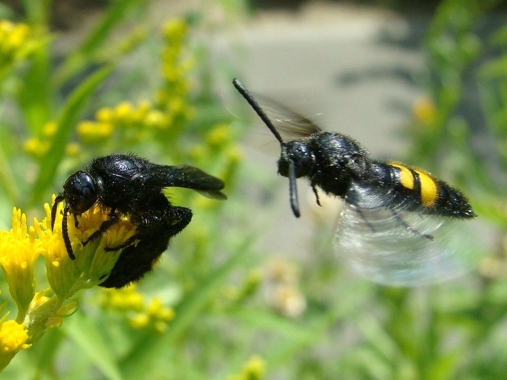 Фотография автора Павел Попов