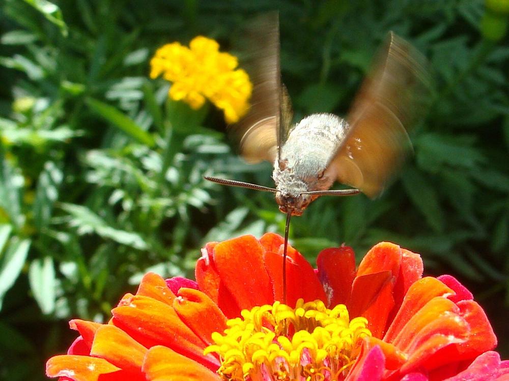 Фотография автора Павел Попов