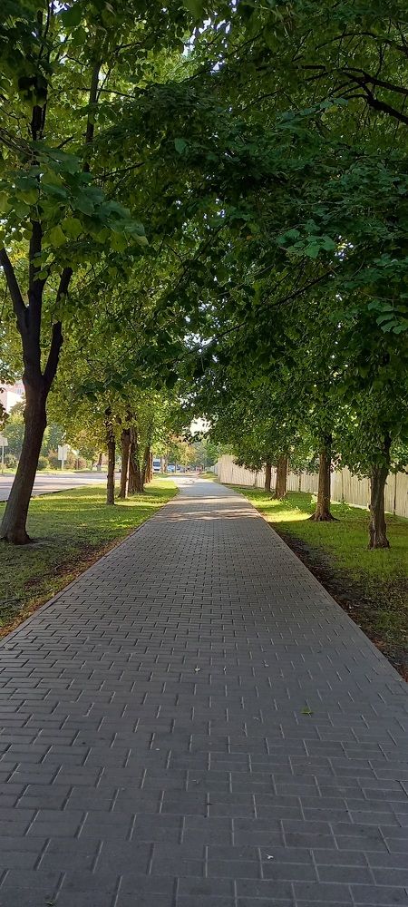 Фотография автора Марина Новикова