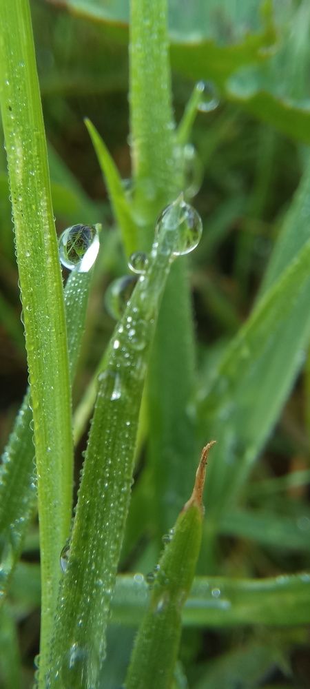 Фотография автора Марина Новикова
