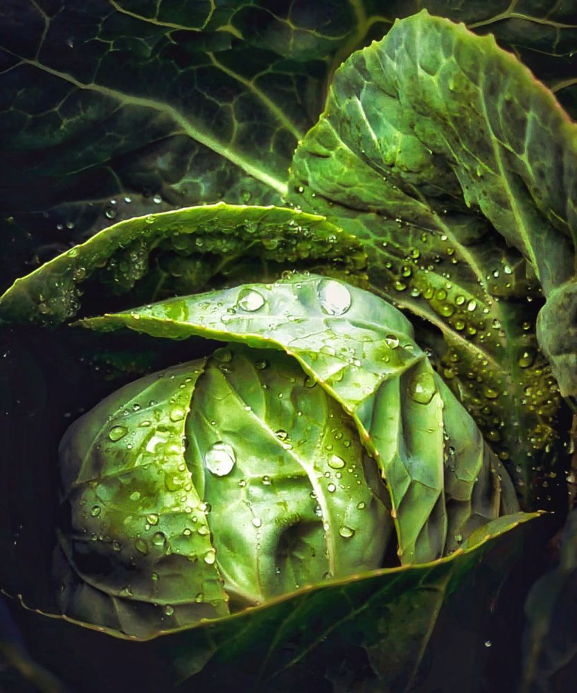 Photograph by Марина Мальцева