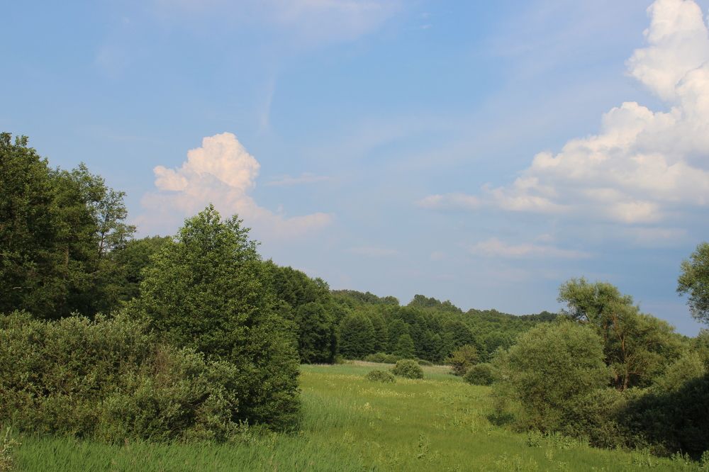 Photograph by Елена Коробченко