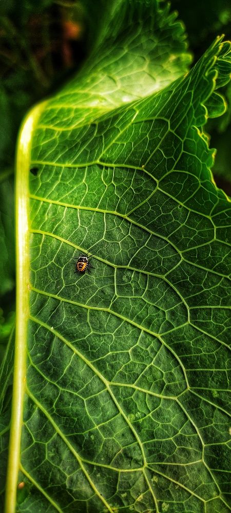 Photograph by Олеся