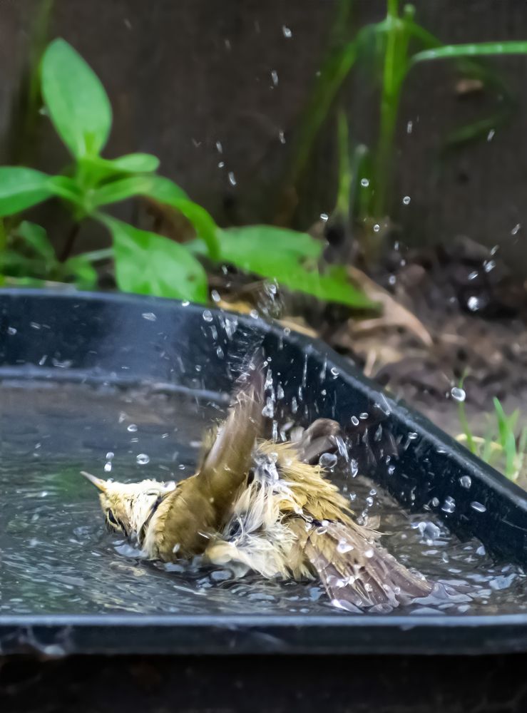 Photograph by Margarita