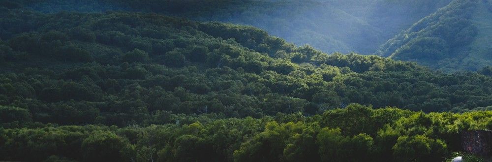 Photograph by Ения Семина