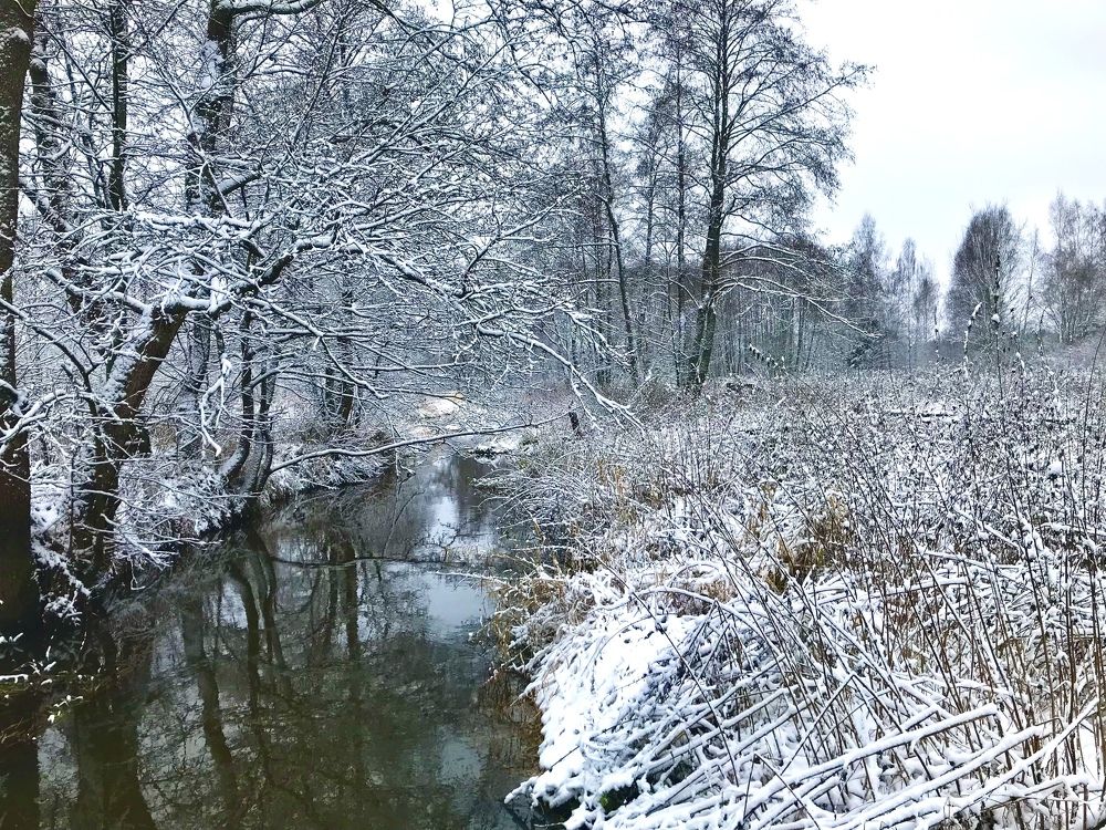 Photograph by Надежда Ткаченко