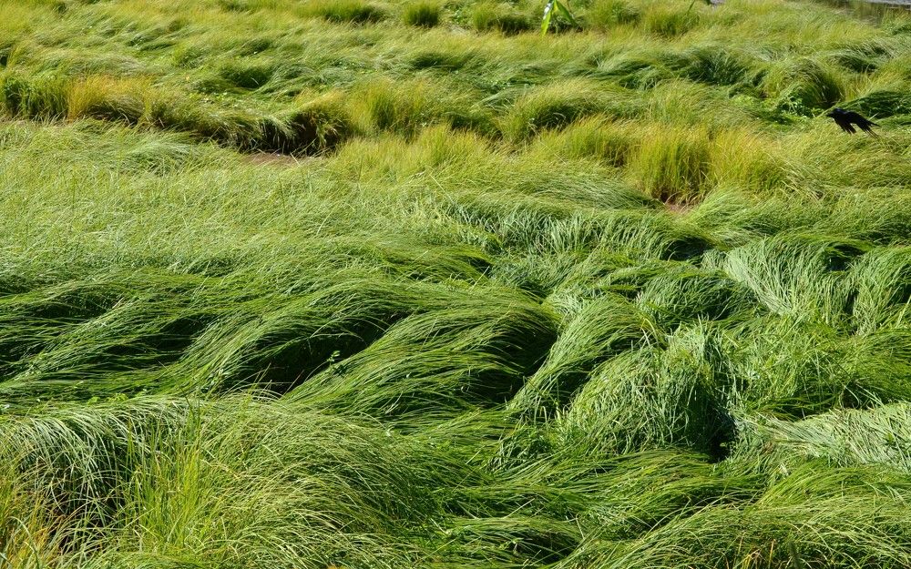 Photograph by Ения Семина