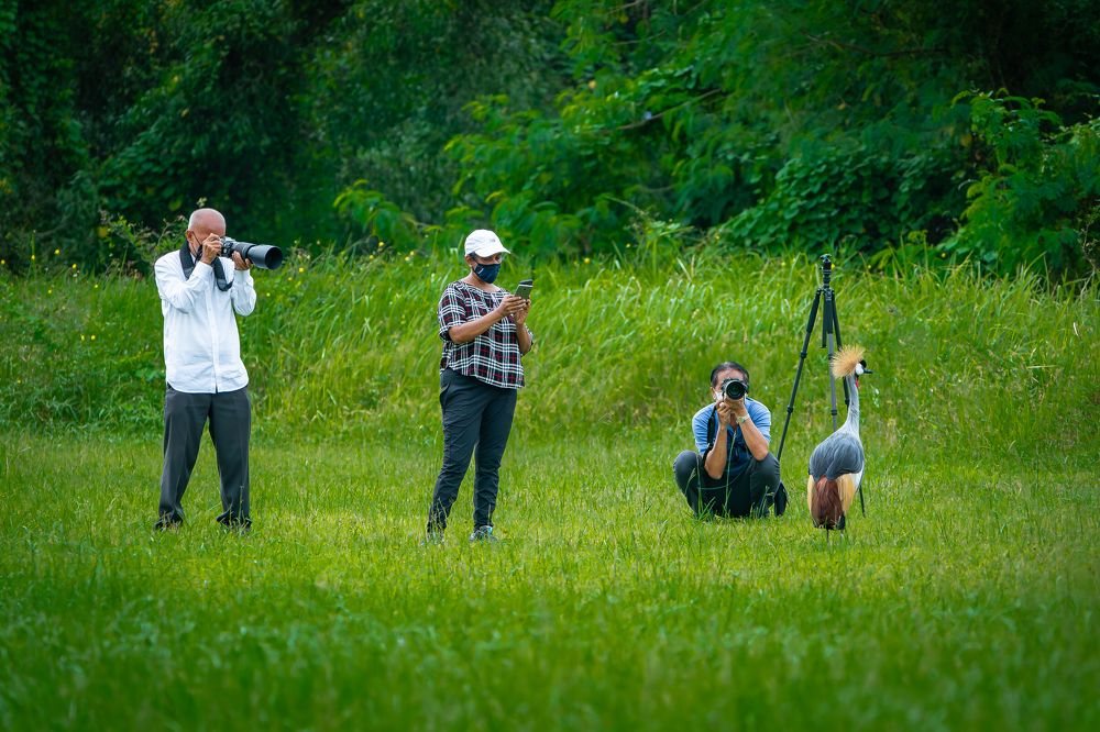 Фотография автора Capt. A.P.S. Kumar