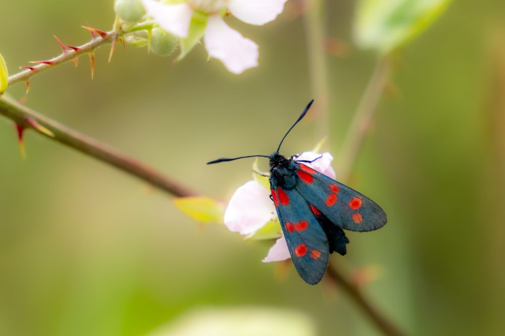 Photograph by Дмитрий Цикин