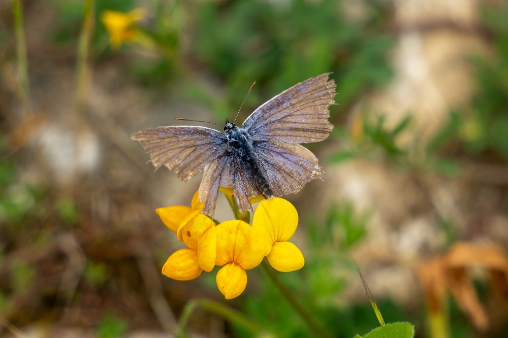 Photograph by Дмитрий Цикин