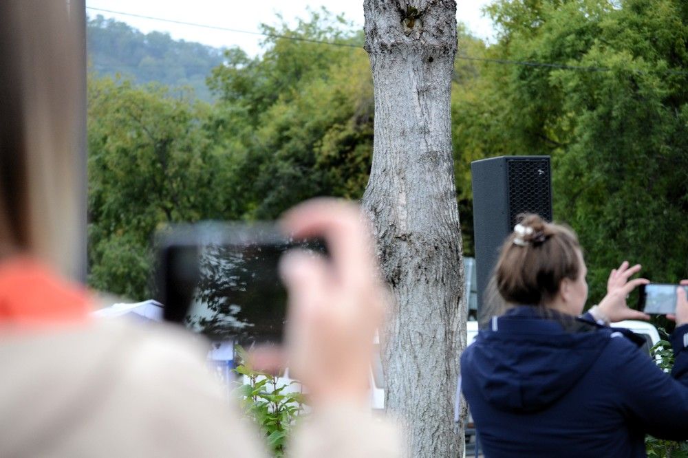 Photograph by Ения Семина