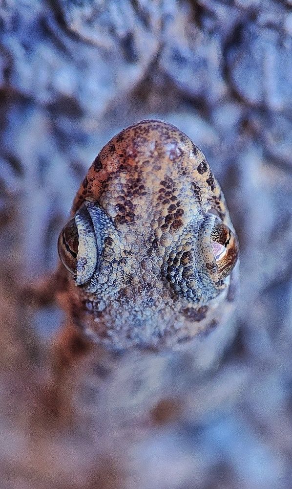 Photograph by Ehsan Fathi