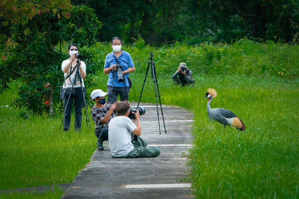 Photograph by Capt. A.P.S. Kumar