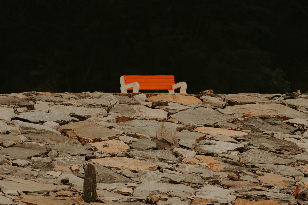 Photograph by SOUVIK PAL