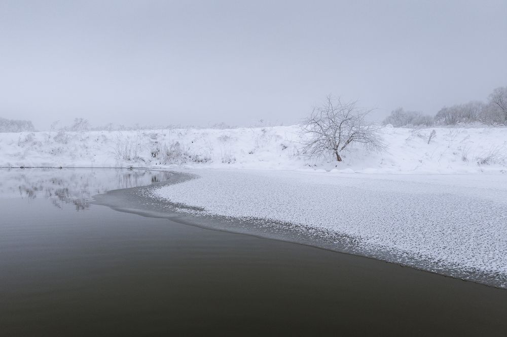 Photograph by Сергей Дивид