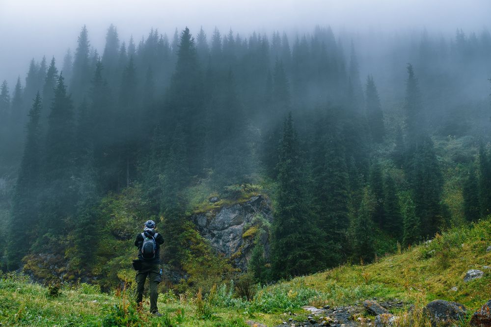 Photograph by Василий Шумкин