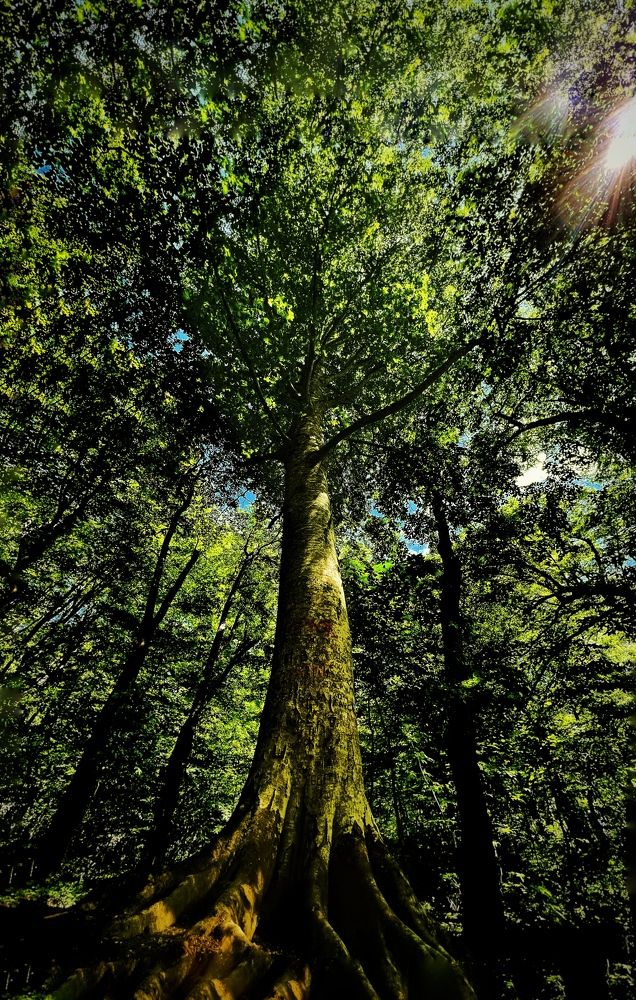 Photograph by Елена Громова