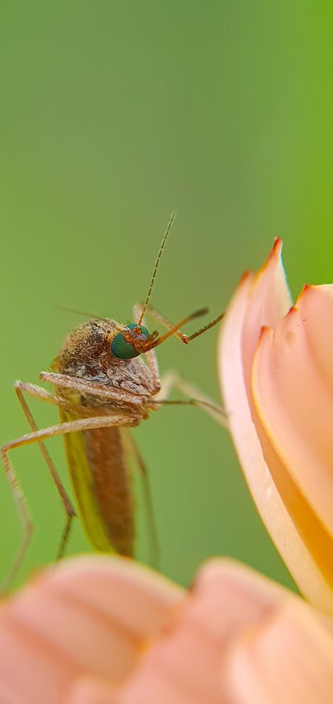 Photograph by ЕЛЕНА Рохо-Фернандес