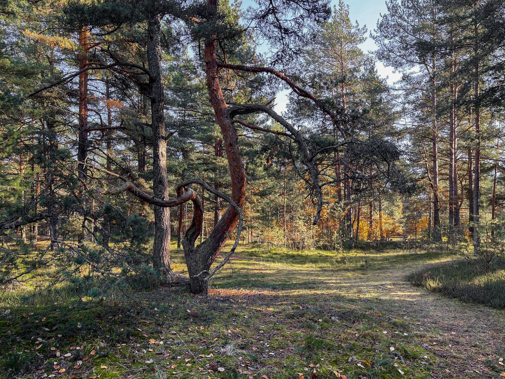 Photograph by Гордий Михаил