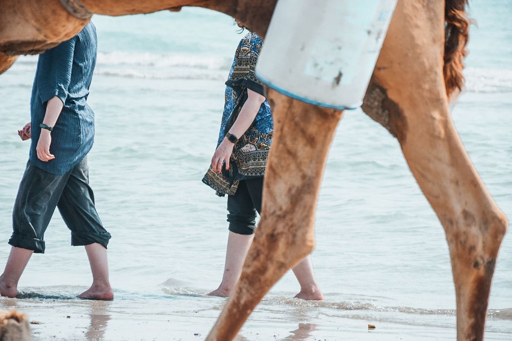 Photograph by Ehsan Fathi