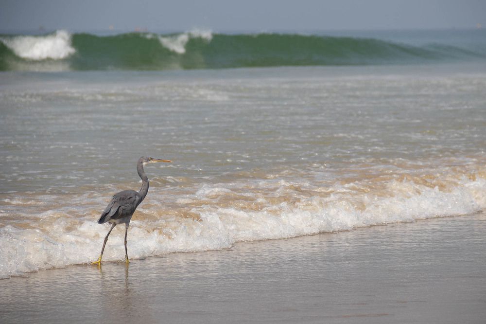 Photograph by Алексей Середенин