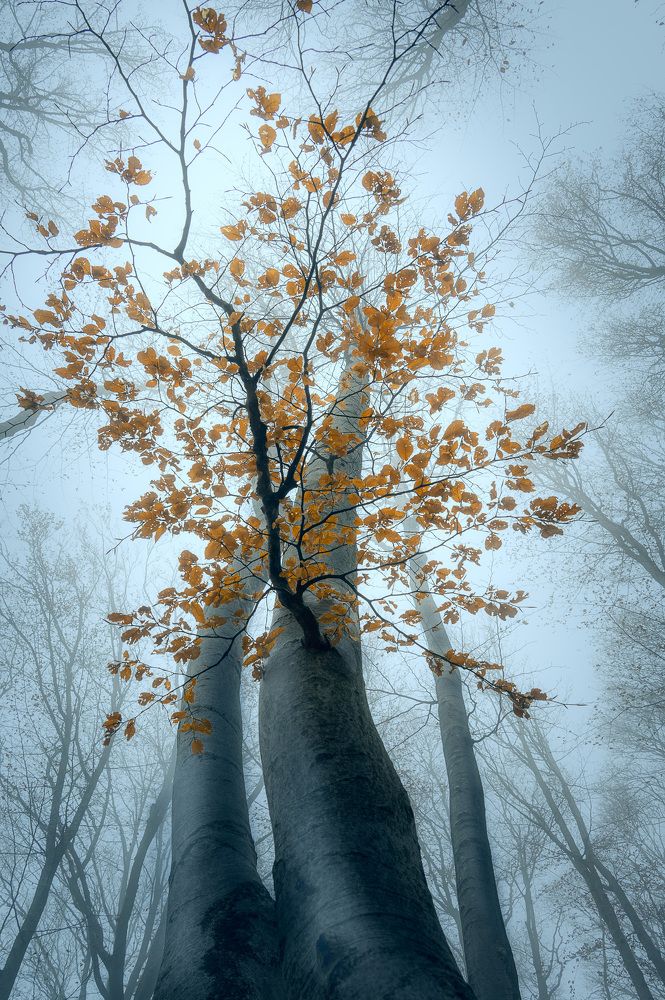 Photograph by Georgi Nunev