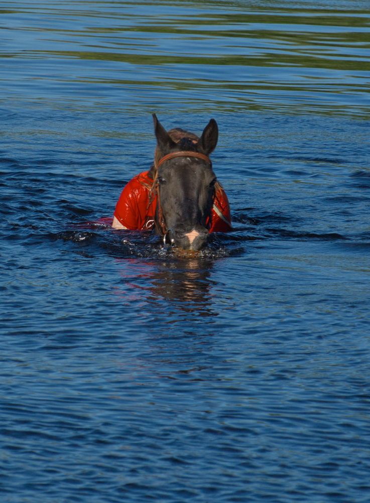 Photograph by Сергей Булат