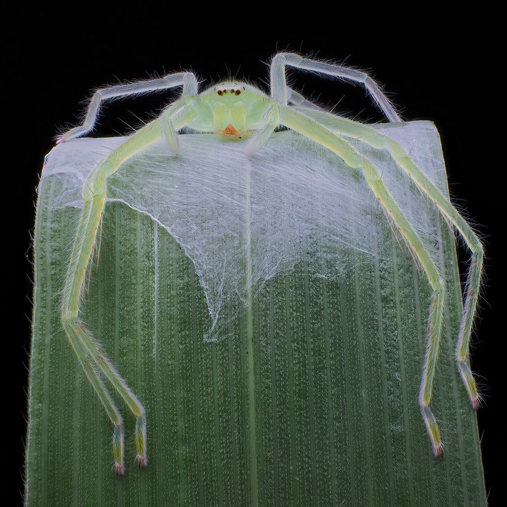 Photograph by Li Chen-You